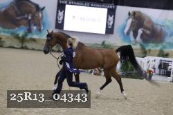 25R13_04343 thumbnail