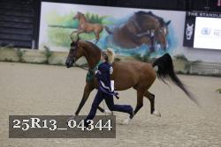 25R13_04344 thumbnail