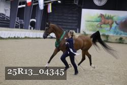 25R13_04345 thumbnail