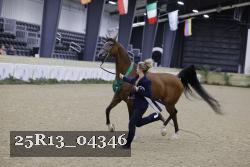 25R13_04346 thumbnail