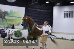 25R13_04347 thumbnail