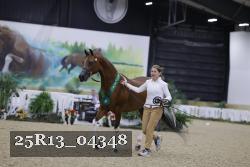 25R13_04348 thumbnail