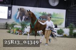 25R13_04349 thumbnail