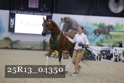 25R13_04350 thumbnail