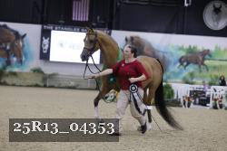 25R13_04353 thumbnail