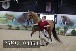 25R13_04354 thumbnail