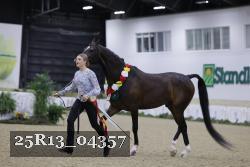 25R13_04357 thumbnail