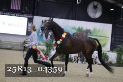 25R13_04359 thumbnail
