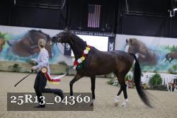 25R13_04360 thumbnail