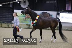 25R13_04361 thumbnail