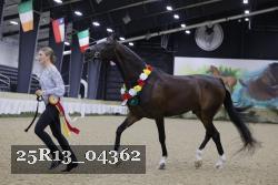25R13_04362 thumbnail