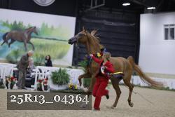 25R13_04364 thumbnail