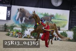 25R13_04365 thumbnail