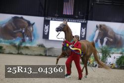 25R13_04366 thumbnail