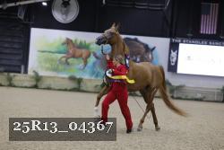 25R13_04367 thumbnail