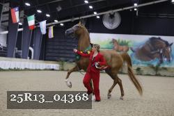 25R13_04368 thumbnail