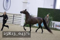 25R13_04371 thumbnail