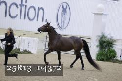 25R13_04372 thumbnail