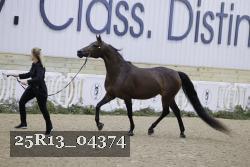 25R13_04374 thumbnail