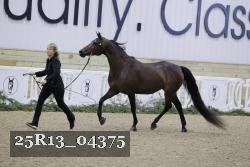 25R13_04375 thumbnail