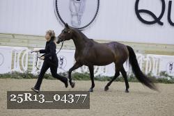 25R13_04377 thumbnail