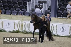 25R13_04378 thumbnail