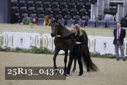 25R13_04379 thumbnail