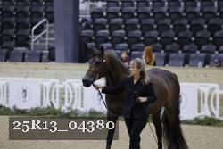 25R13_04380 thumbnail