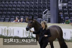 25R13_04381 thumbnail