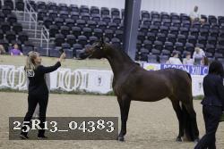 25R13_04383 thumbnail