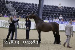 25R13_04384 thumbnail