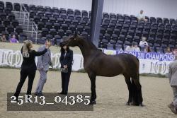 25R13_04385 thumbnail