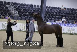 25R13_04386 thumbnail
