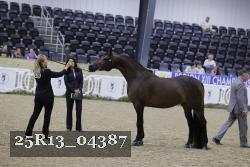 25R13_04387 thumbnail
