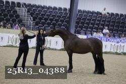 25R13_04388 thumbnail