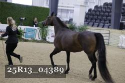 25R13_04389 thumbnail