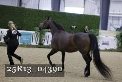 25R13_04390 thumbnail