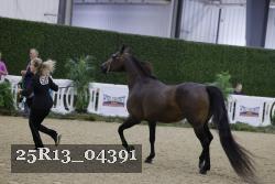 25R13_04391 thumbnail