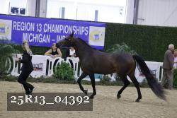 25R13_04392 thumbnail
