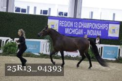 25R13_04393 thumbnail