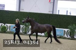 25R13_04394 thumbnail