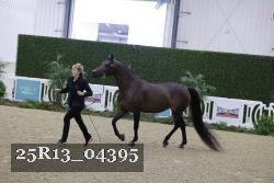25R13_04395 thumbnail