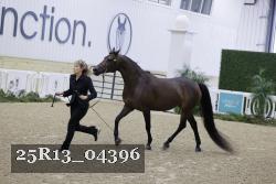 25R13_04396 thumbnail