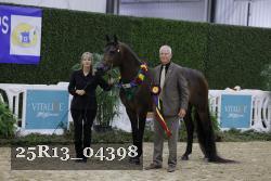 25R13_04398 thumbnail
