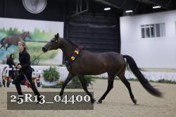 25R13_04400 thumbnail