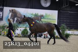 25R13_04401 thumbnail