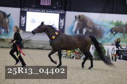 25R13_04402 thumbnail