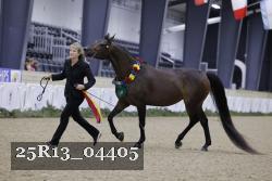 25R13_04405 thumbnail