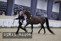 25R13_04406 thumbnail