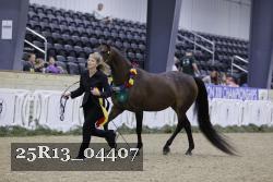 25R13_04407 thumbnail